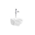 Kohler Kingstonantimicrobial & Mach 1.28 Dc PR84325-T4DS-NA